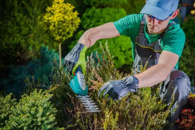 landscaping services Congers